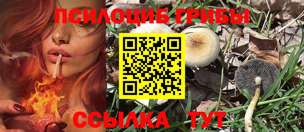 Зерноград  Галлюциногенные грибы ЛСД  Вход с VPN 
